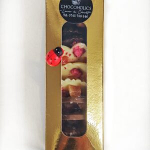 CUTIE MEDIANTS DIN CIOCOLATA CU MIX DE SEMINȚE SI FRUCTE CONFIATE